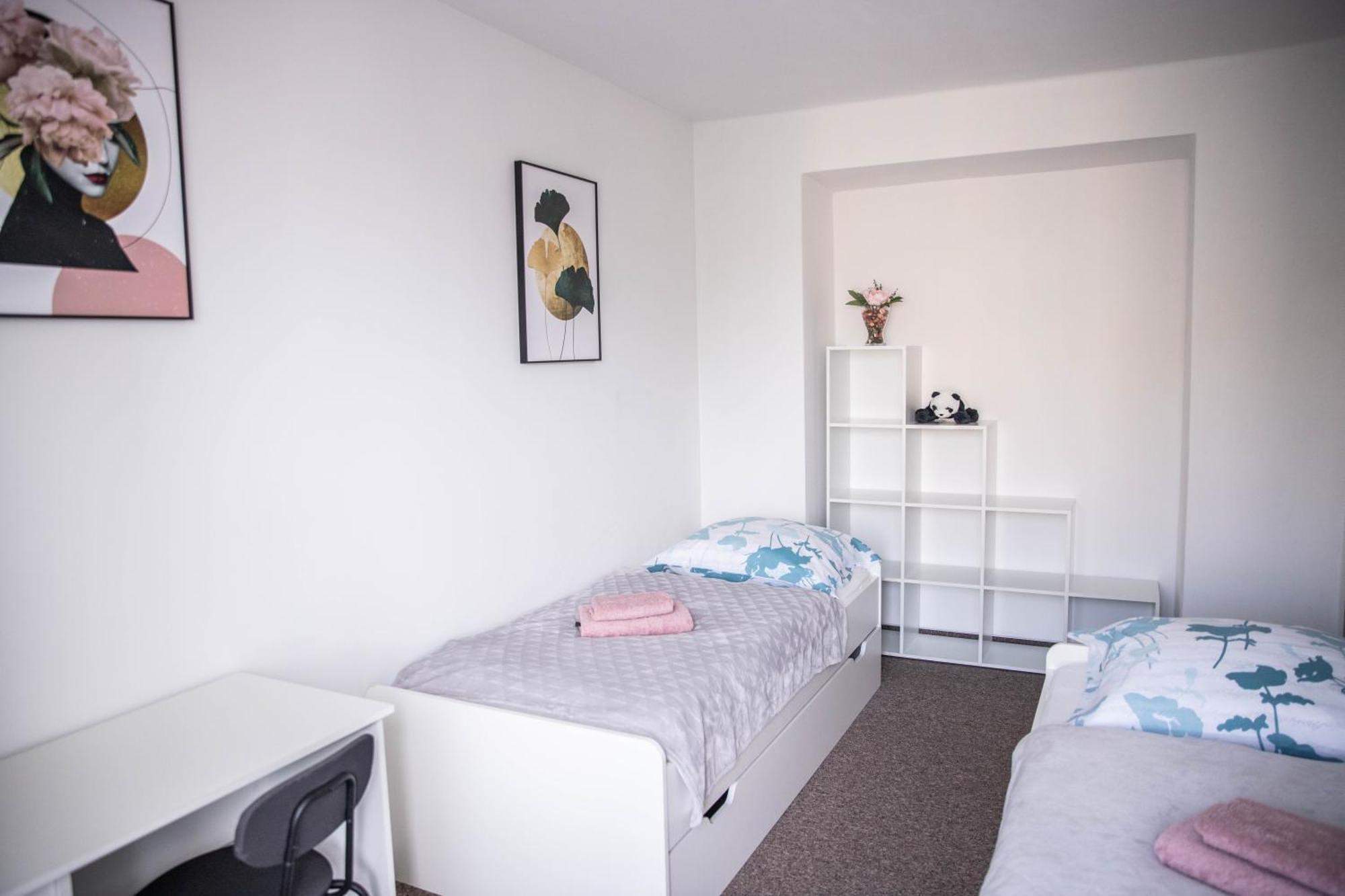 Prostorny Byt V Centru U Reky, 2 Loznice, Balkon Hradec Králové Eksteriør bilde